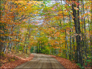 Landscape with empty country roadway through woodland in fall.