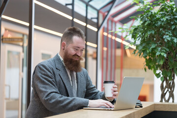 Fototapeta premium Portrait of brutal bearded hipster man wearing wool blazer working on laptop sitting in cafe/ restaurant, drinking coffee from a paper cup, indoor. Distance job, remote work. 