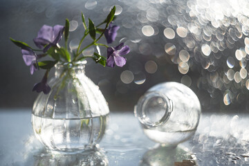 Miniature flowers in a vase in the sun with water drops