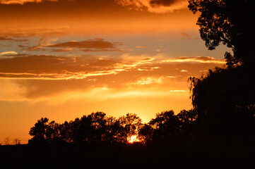 Fototapeta na wymiar Sunset with trees