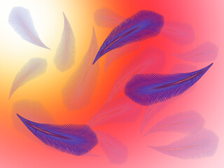Fototapeta na wymiar Blue feathers on a pink transparent background.