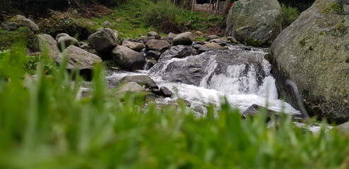 pastos