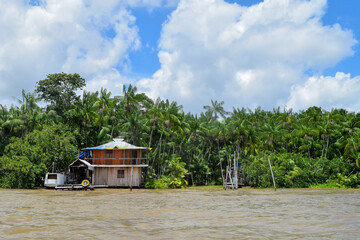 Stilt house in the middle of the trees by Guamá River, in Combu Island, Belém, Brazil. Picture taken from the boat. - obrazy, fototapety, plakaty