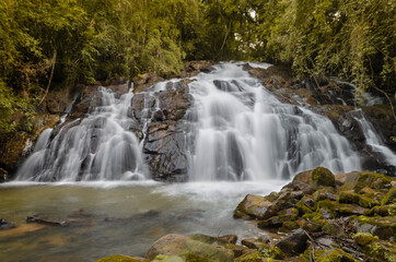 Fototapeta na wymiar Forest Waterfall