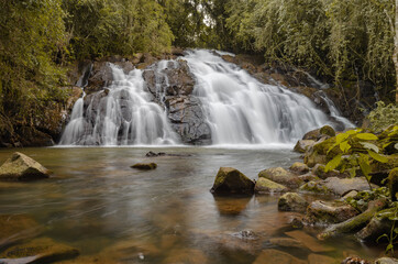 Water in the forest