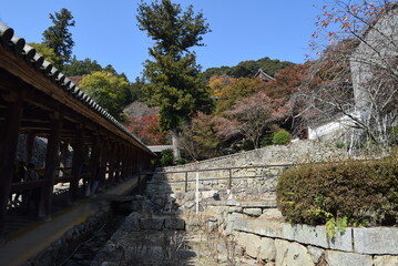 長谷寺登廊