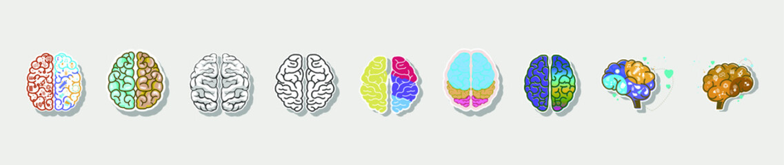 a set of brains with various models. stock vector illustration on white background