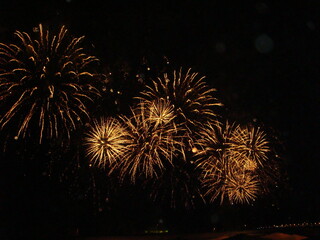 fireworks in the sky