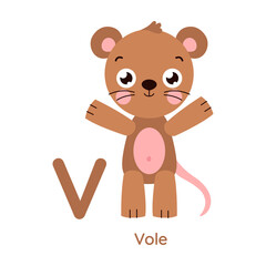 Vector alphabet letter V vole illustration