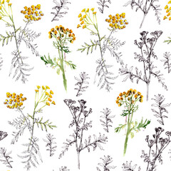 seamless pattern of tansy sprigs, watercolor and graphic drawing