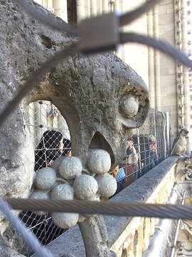 Tour of Cath&eacute;drale Notre-Dame de Paris - October 16, 2018