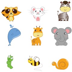 collection of animals and insects