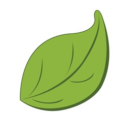 leaf