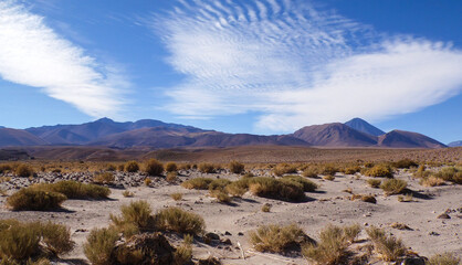 This shot shows the natural beauty of Llanos de Challe National Park in the Chilean Atacama Desert, especially with some interesting clouds hanging over it.