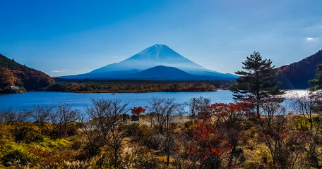 Fototapeta premium Autumn at Shojiko lake