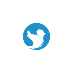 Logo template of modern bird. Simple flat style. Vector logo template ready for use.