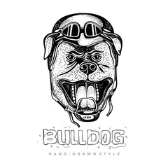 vector bulldog wearing helmets, hand drawn animal illustrations