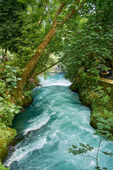 Fototapeta premium Mountain river along the rainforest. Mountain turquoise river along the foliage and trees. Upper Duden waterfall, Turkey, Antalya