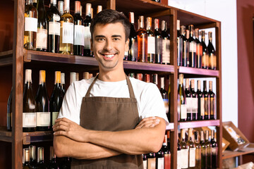 Male seller in wine store
