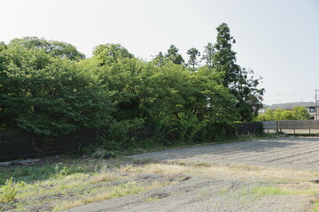 京都　桂　20150511