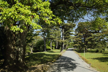 京都　桂　20150511