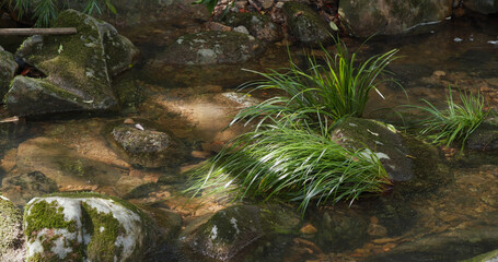 Water flows though the cascade