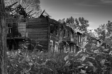 An old ruined wooden house overgrown with grass. The concept idea for the visualization of scary or...