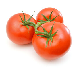Three tomatoes isolated on white background