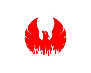 Phoenix and flame inside