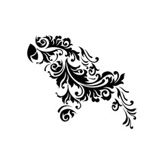 Fototapeta premium tattoo design