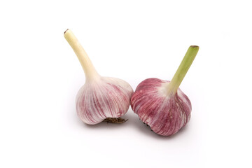
fresh garlic on a white background