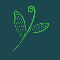 Obraz premium leaves on stem