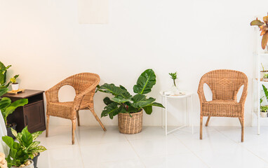 Green and living space of living room with plants and philodendron with chairs and tables. Room is decorated in white and minimal tone.