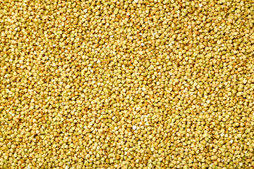 Green buckwheat scattered on a wooden table. Horizontal