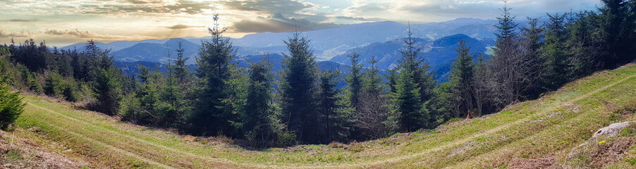 Nature in Alsace. France and Germany