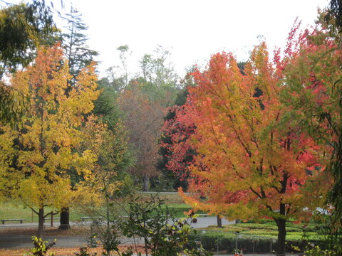 Vasona Park, Los Gatos, California