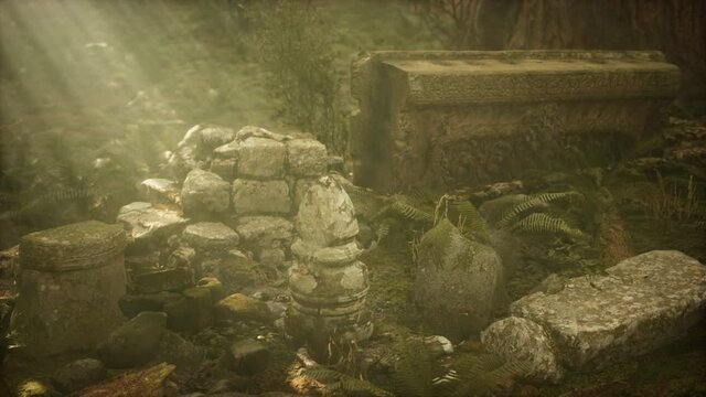 Hoary ruins of ancient city in pine forest