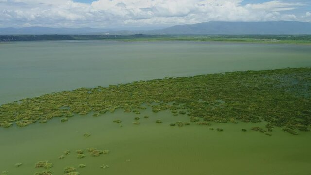 Flight in the cabral lagoon watching the green water on a clear day
