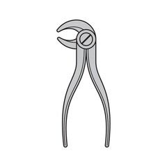 forceps