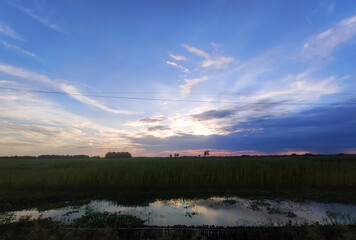 Clouds during sunset over the rice paddy fields after the rain