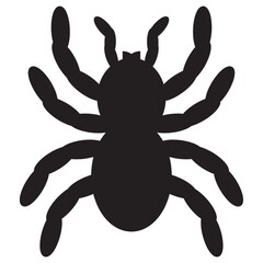 silhouette of spider