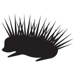 silhouette of porcupine