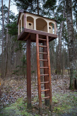 Bird house. Two bird houses in the woods. In the forest, a bird house with a ladder and a roof.