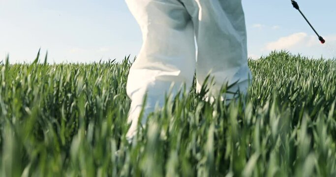Close up of male farmer in white protective costume walking in greengrass in field and spraying pesticides with pulverizator. Man fumigating harvest with chemicals. Fumigate concept.