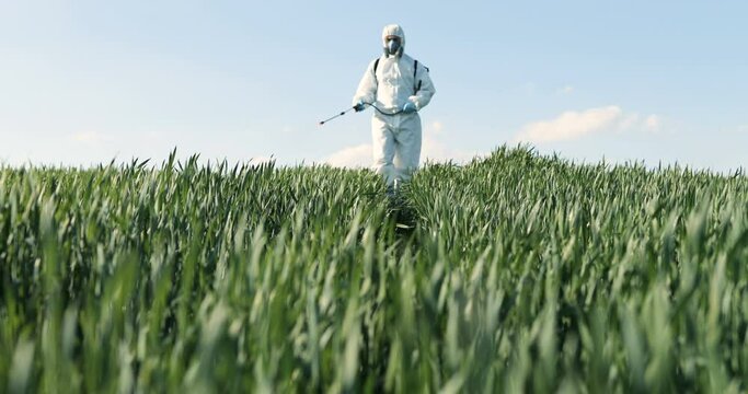 View from below on Caucasian male farmer in white protective costume, mask and goggles walking the green field and spraying pesticides with pulverizator. Man fumigating harvest with chemicals.