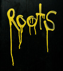 Roots graffito signature