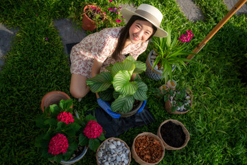 Asian woman plant a flower in her garden