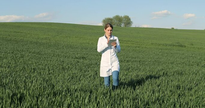 Caucasian beautiful ecologist scientist in white gown walking in green field and using tablet device. Woman researcher, biologist strolling in green harvest and tapping on tablet computer.