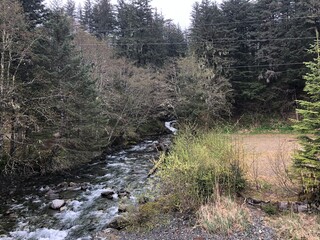 hiking trail in the mountains
