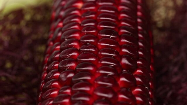 Red corn food footage